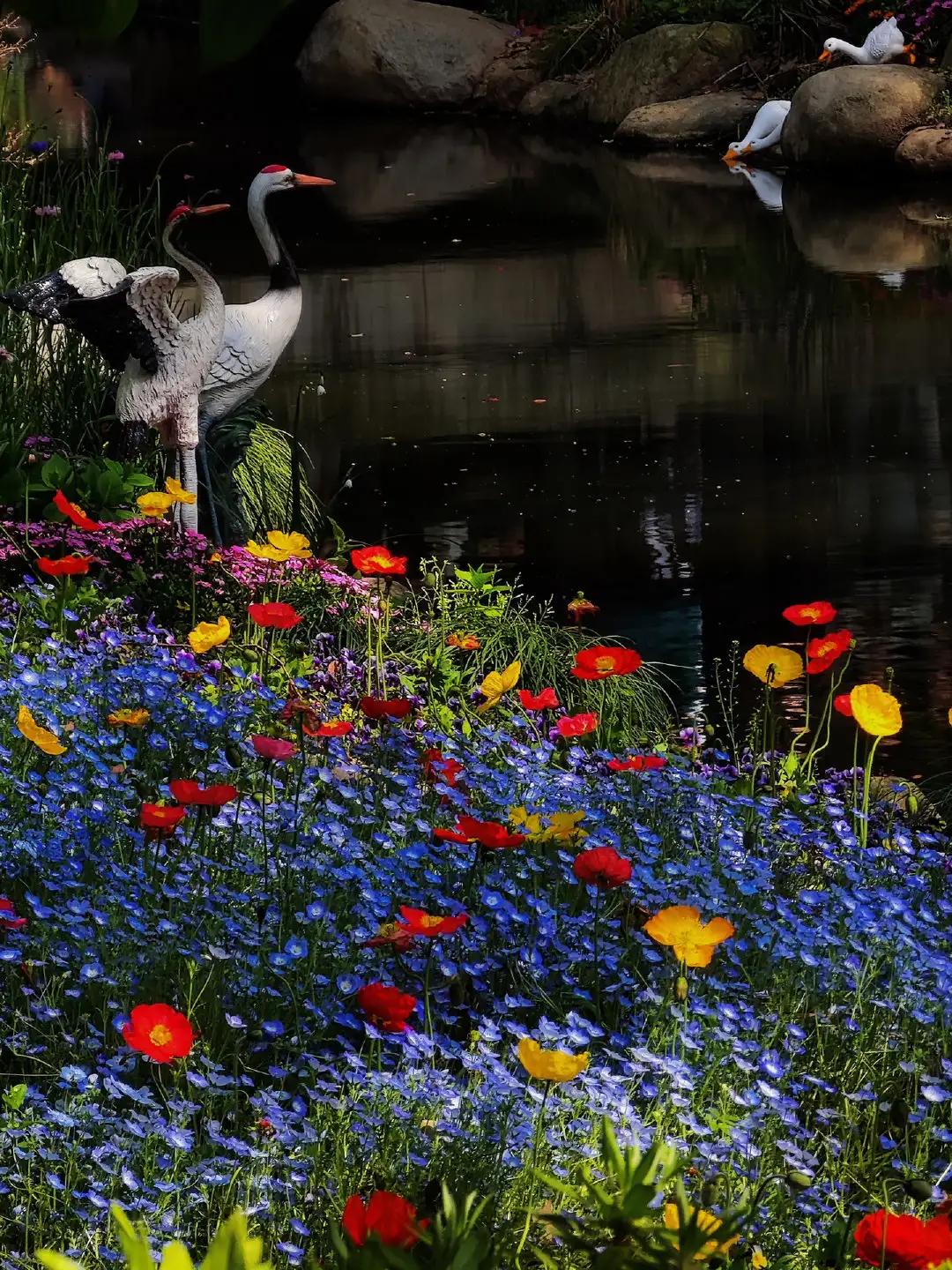“ 愿四时平安，万物可爱，万事尽可期待 .. ” ​​​  