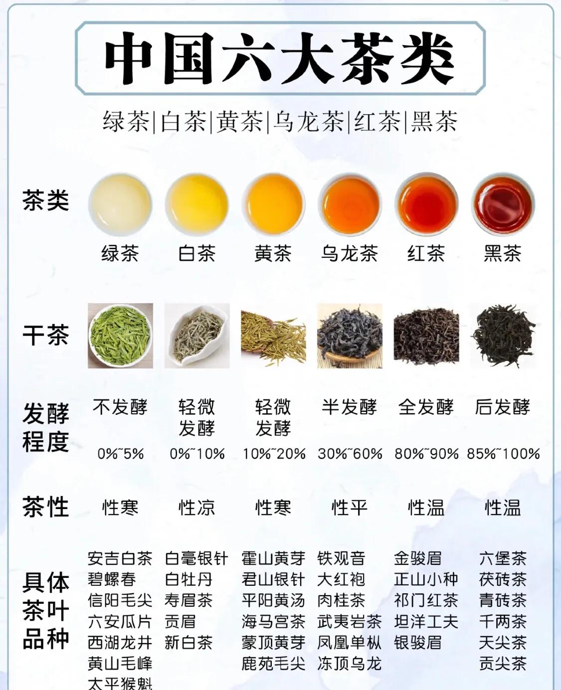 六大茶系最详细介绍，简单易懂！
 