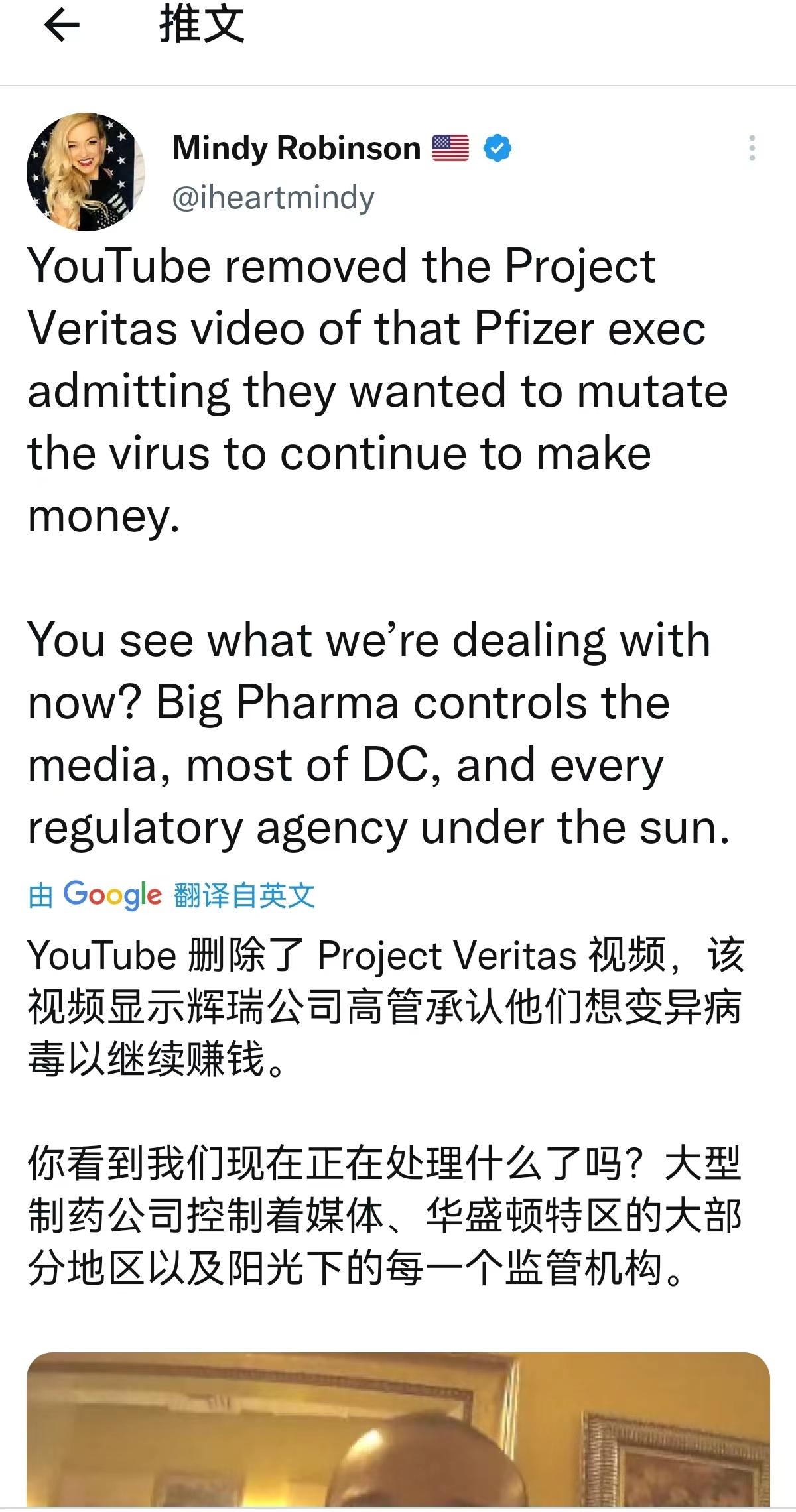 
目前爆料辉瑞的视频已经被网站