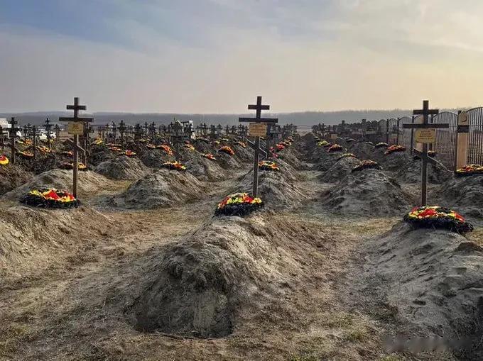 根据网上流传的非官方数据，AF