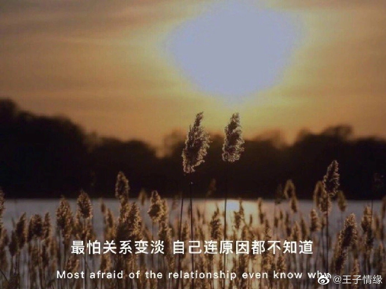 这世界上只有和好 没有如初 人一旦有了隔阂 就真的走不近了. ​​​ ​​​