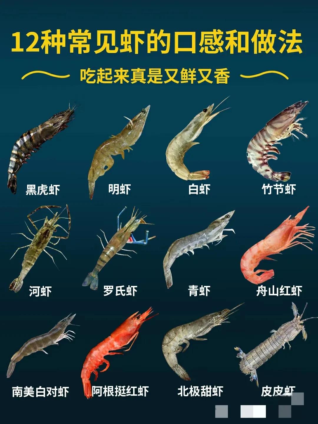 百姓餐桌上常见的虾，营养丰富，肉质Q弹，老少皆宜，但虾得种类繁多，你能辨别出虾的