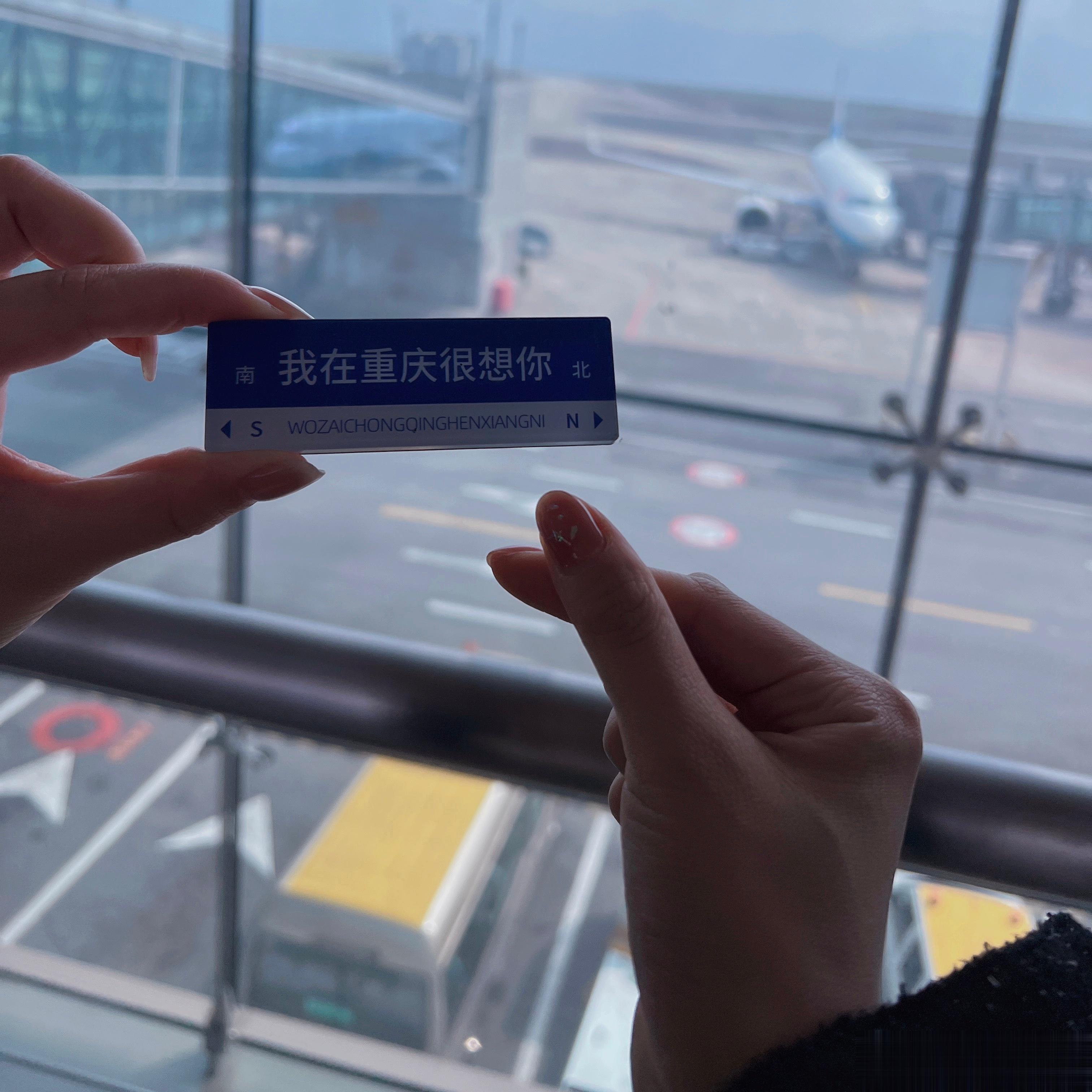 和我的笨蛋姐妹[开学季] ​​​