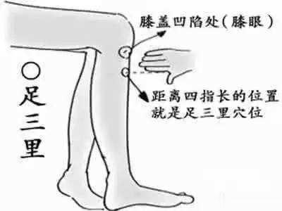 武国忠：足三里的深层含义和使用