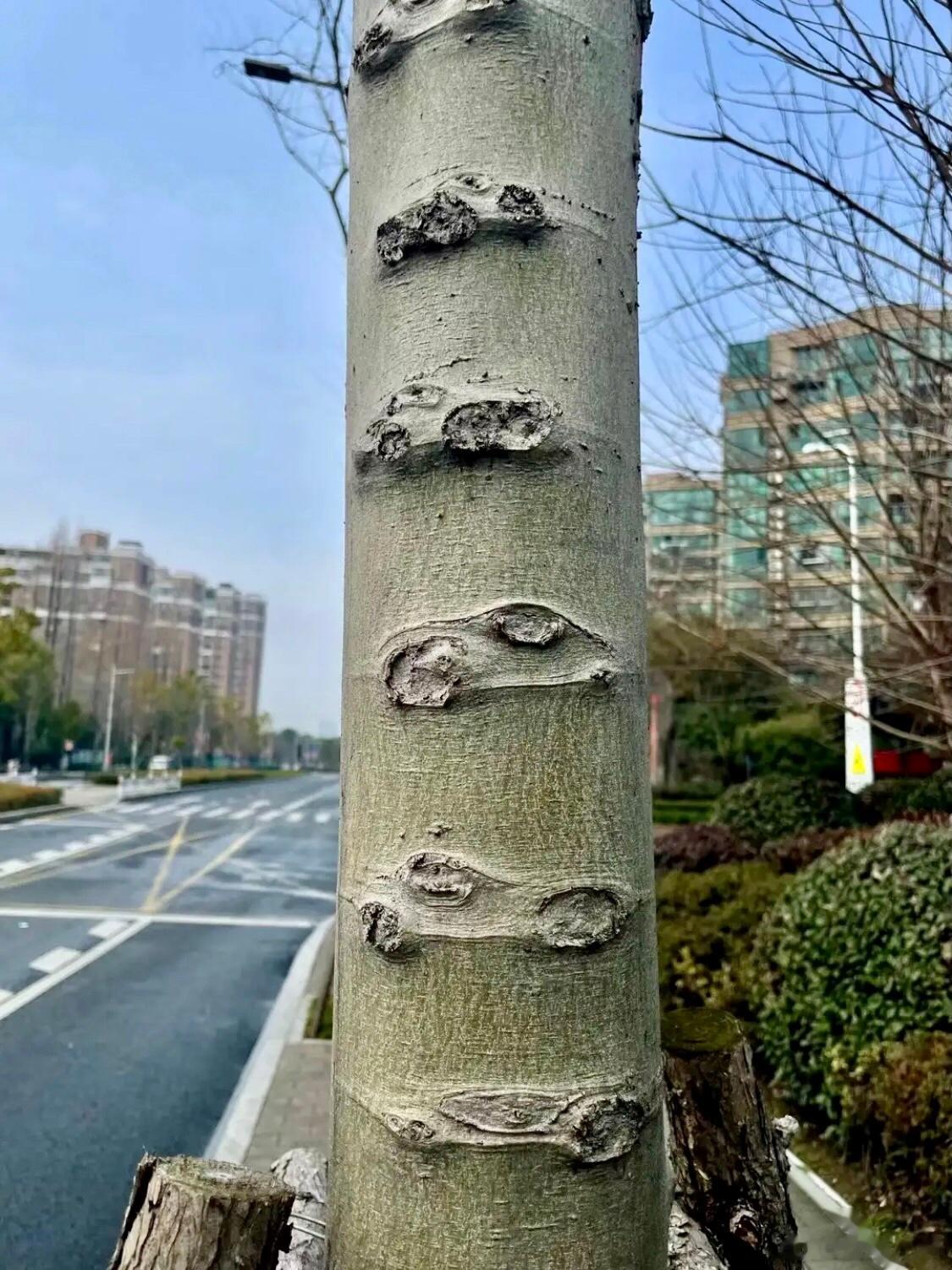 谁画了这么多车，你能看出什么车型吗？ ​​​