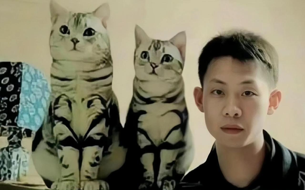 当年还是个小鲜肉的张译，长得阳光帅气，看上去特别干净。
张译和张颂文一样，都是那