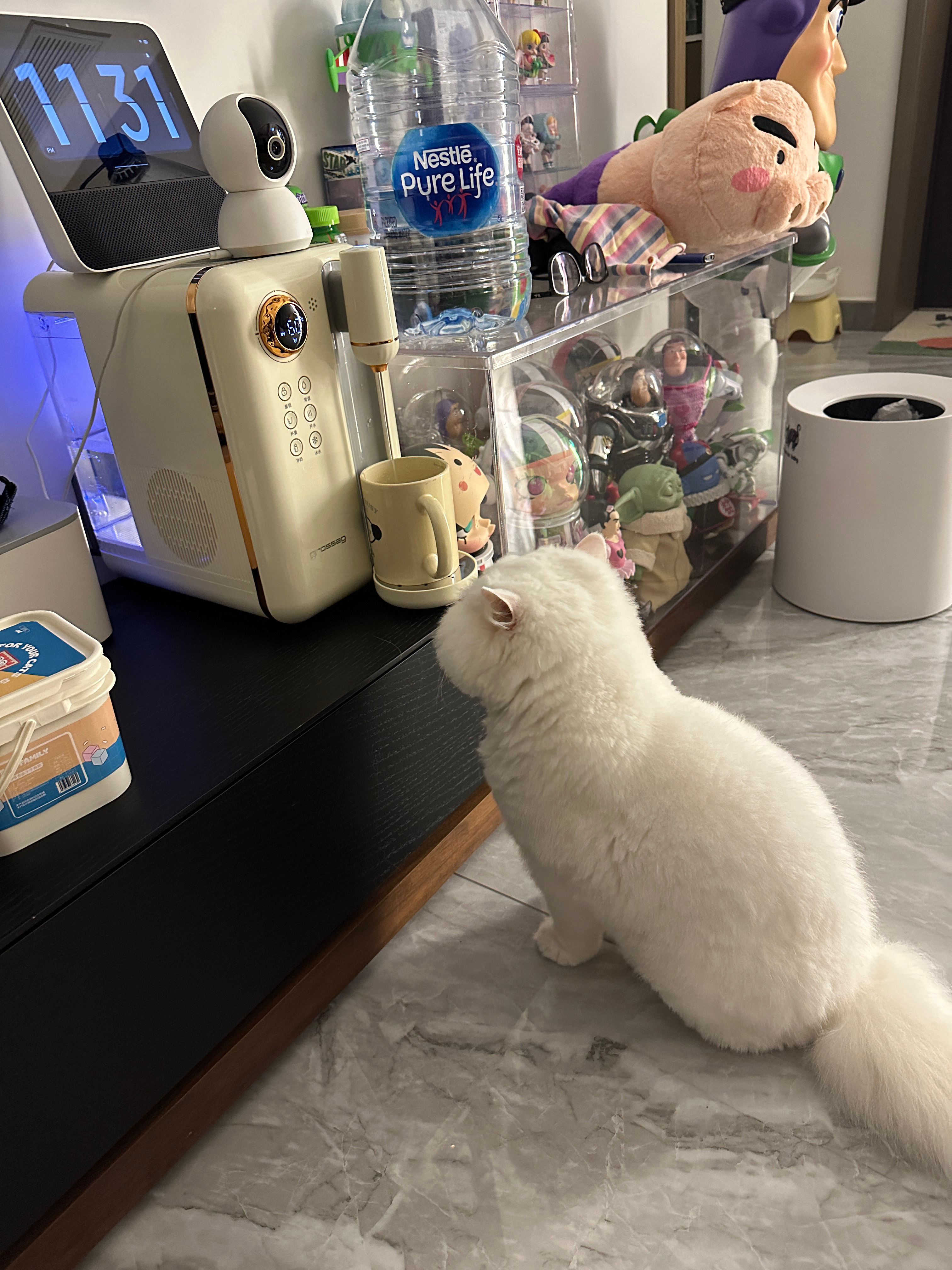 尴尬的一天 ​​​