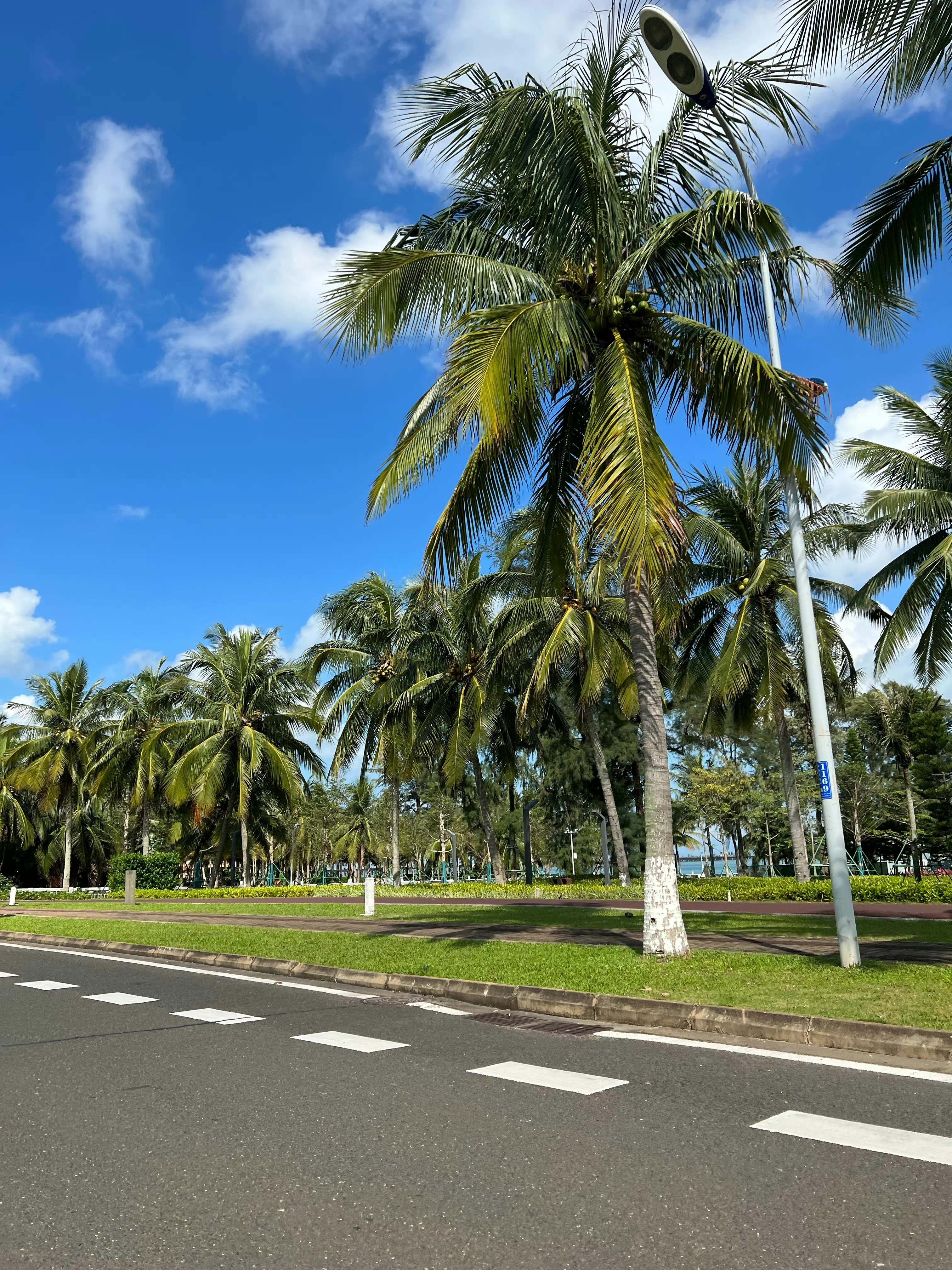 我真的太喜欢大海了🌴  ​​​