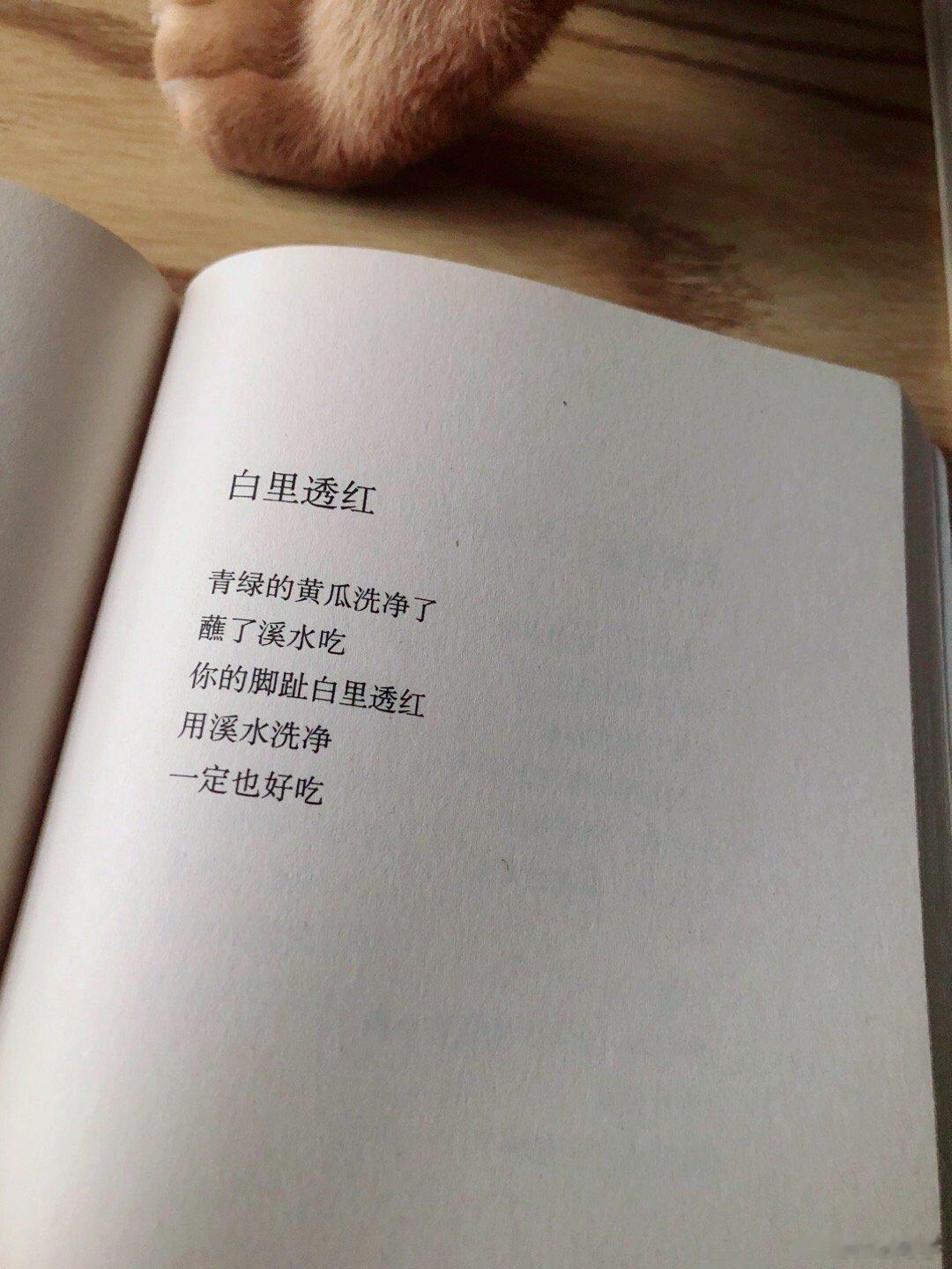看到这 桔子走了过来嗯嗯 它的jio是焦糖爆米花的味道 ​​​