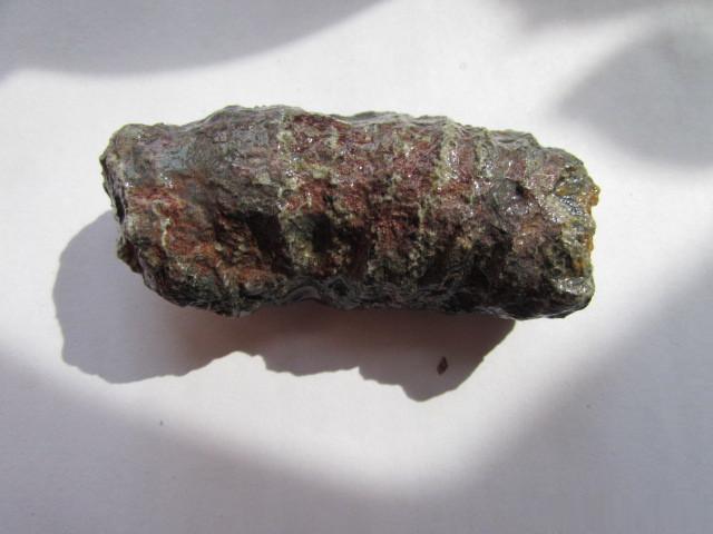 北大荒古生代化石，1，无脊椎软体海洋动物化石，在砂岩中找到的，距今上亿年。2，猛