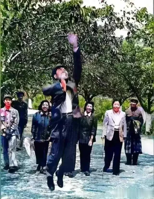 一个晴朗的午后，周总理夫妇与众人一同散步，当他们走到一颗苹果树下时，邓颖超兴致勃