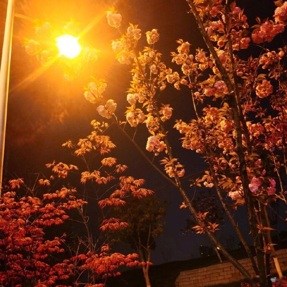 今生无缘做你的枕边人，只能在心里陪你到老。其实我们都很好，只是时间不凑巧。短暂的