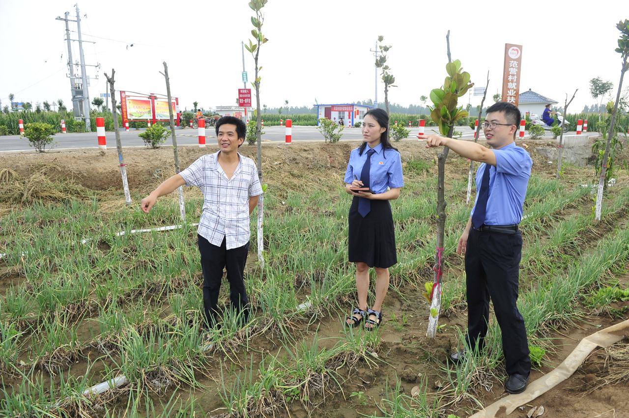 8月4日，内乡县检察院干警和林业部门工作人员来到该县赵店湿地公园，对杨某毁坏的生