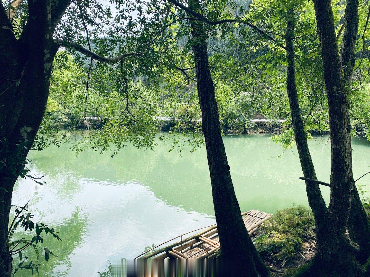 【云南曲靖罗平多依河，山清水秀，风景如画！ 】多依河两岸古木修竹，环境清幽，风情