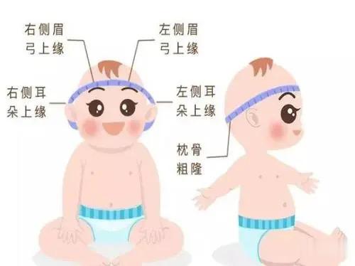 如何给宝宝侧头围？工具：软尺一根方法：从宝宝右侧眉弓最高点上缘测起，经枕骨粗隆（