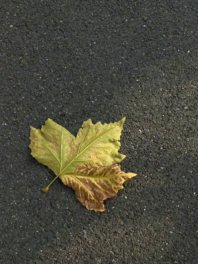  ²⁰²³ ້ ◡̈ᯓ 💛     在喜欢的状态里生活     做你自己 生活