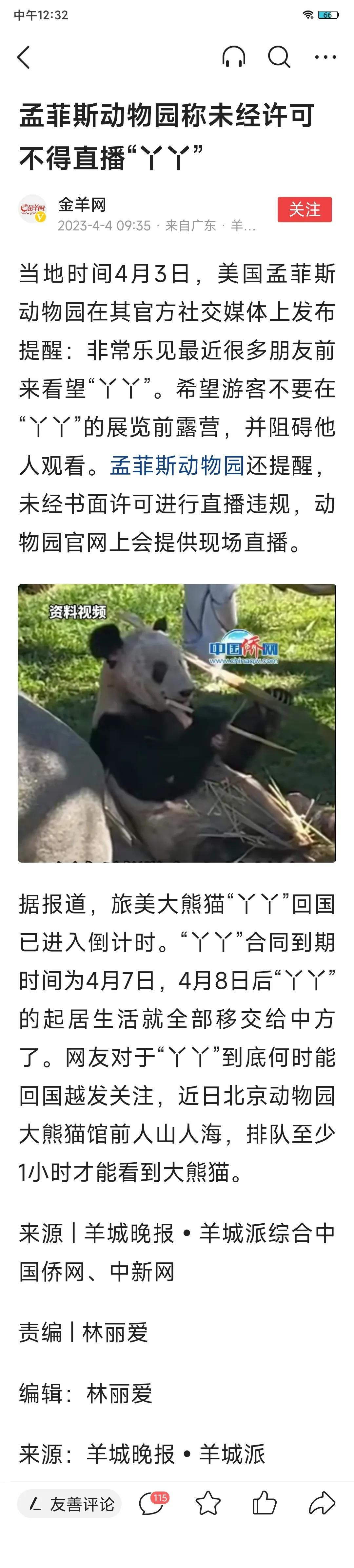 国宝大熊猫“丫丫”再过三天就要合同到期，开始踏上回国的路程了。这时候，孟菲斯动物