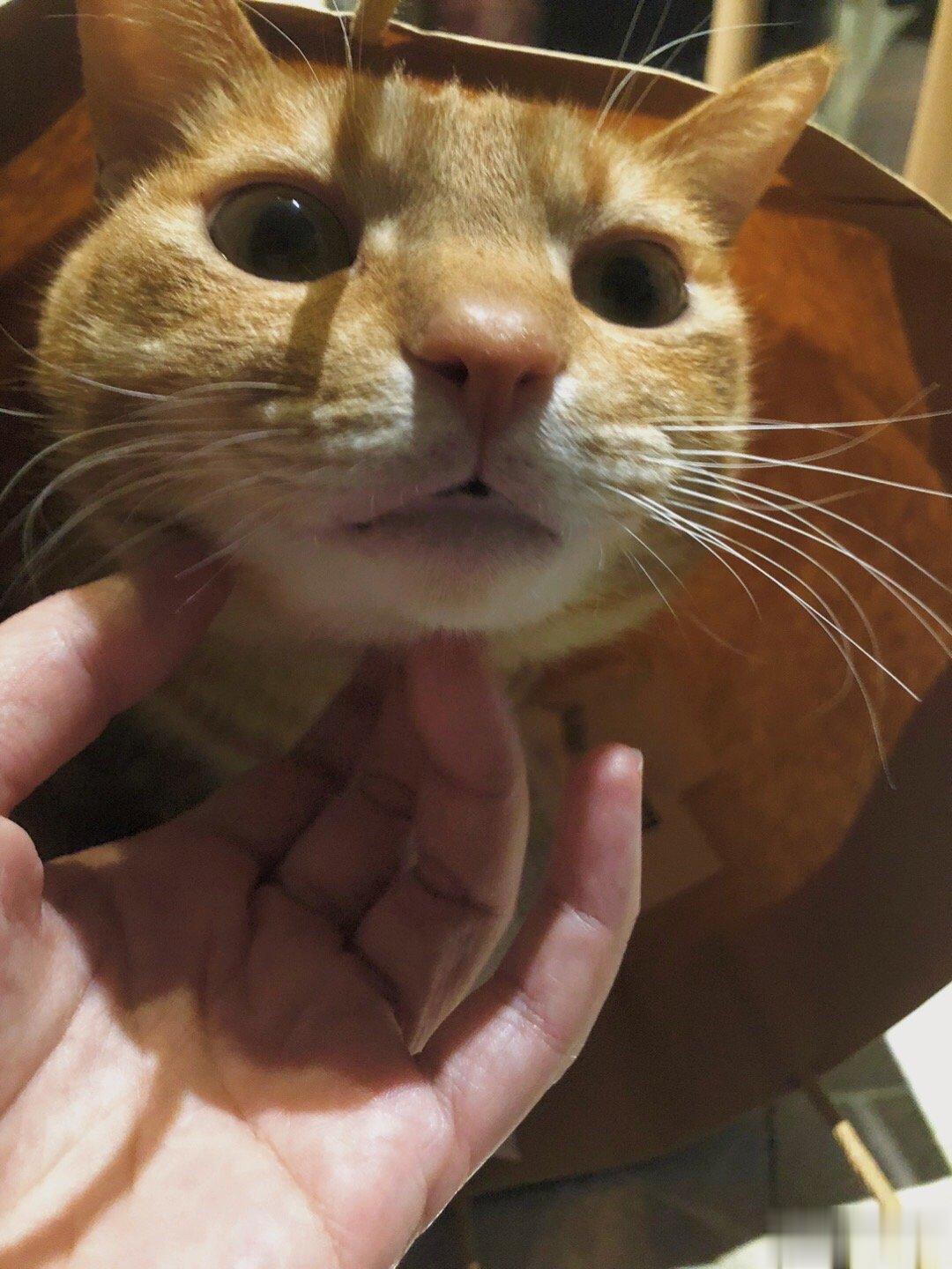 大眼睛的小可爱 ​​​