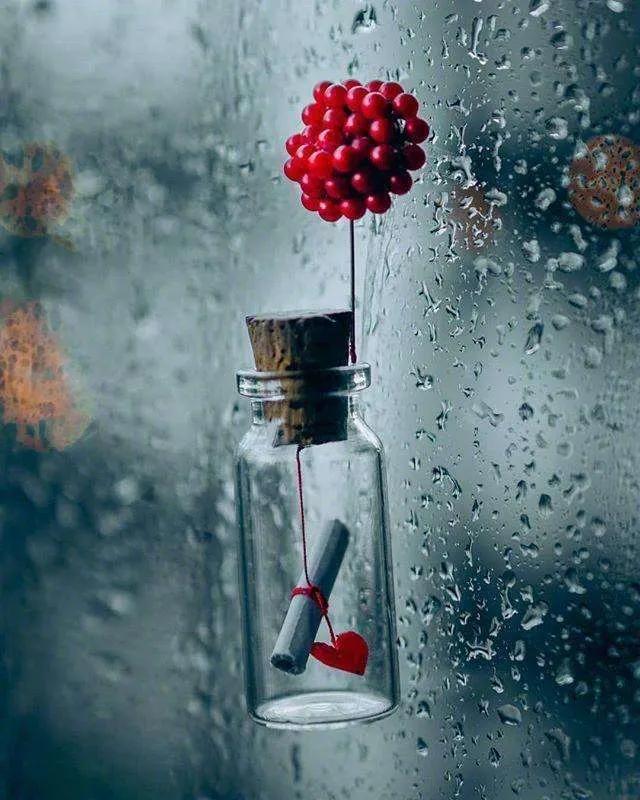 坐标许昌，今天下了一整天雨，有人说下雨天有时会使人感到压抑和无聊，但实际上，它也