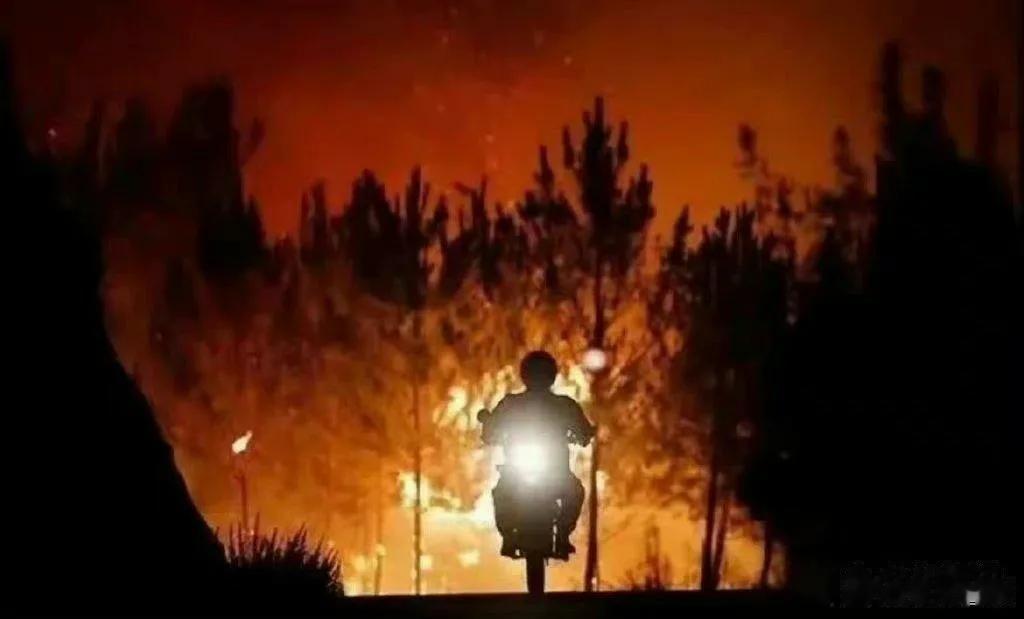 看了很多我们重庆这些天的救火视频或照片，真的太感动了！特别是往又窄又陡峭的山路上