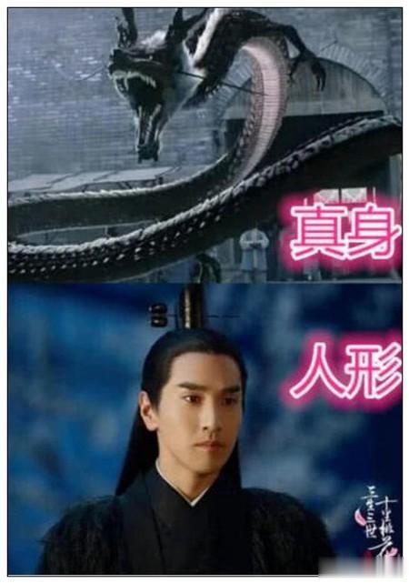 三生三世：真身VS人形，凤九可爱，夜华英俊，看到最后：恋爱了
夜华的真实是一条黑