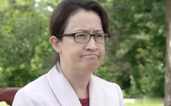 萧美琴有望成为赖清德的副手，民进党一路高歌猛进，而国民党至今连候选人都没有，已经