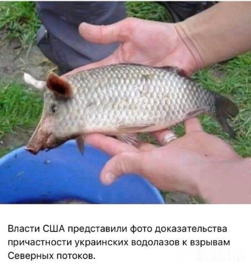 美国当局提供了乌克兰潜水员参与北溪爆炸相片的证据