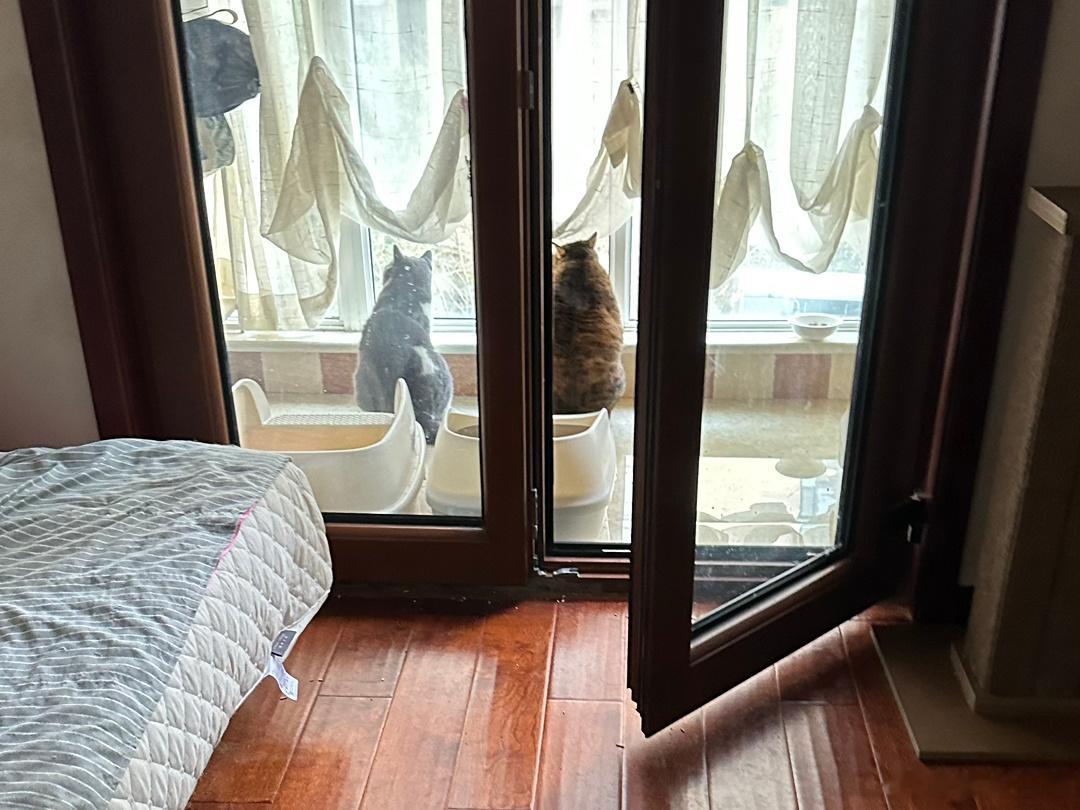  陪媳妇儿看鸟 ​​​
