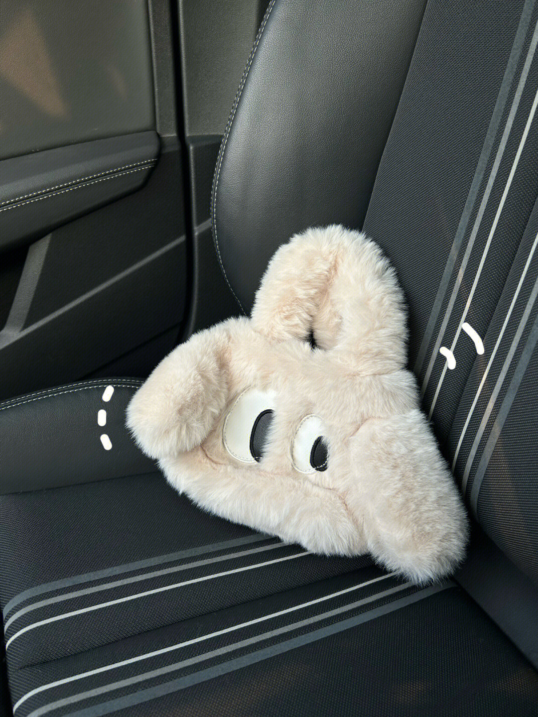 几十r喜提这只毛茸茸狗狗包👜