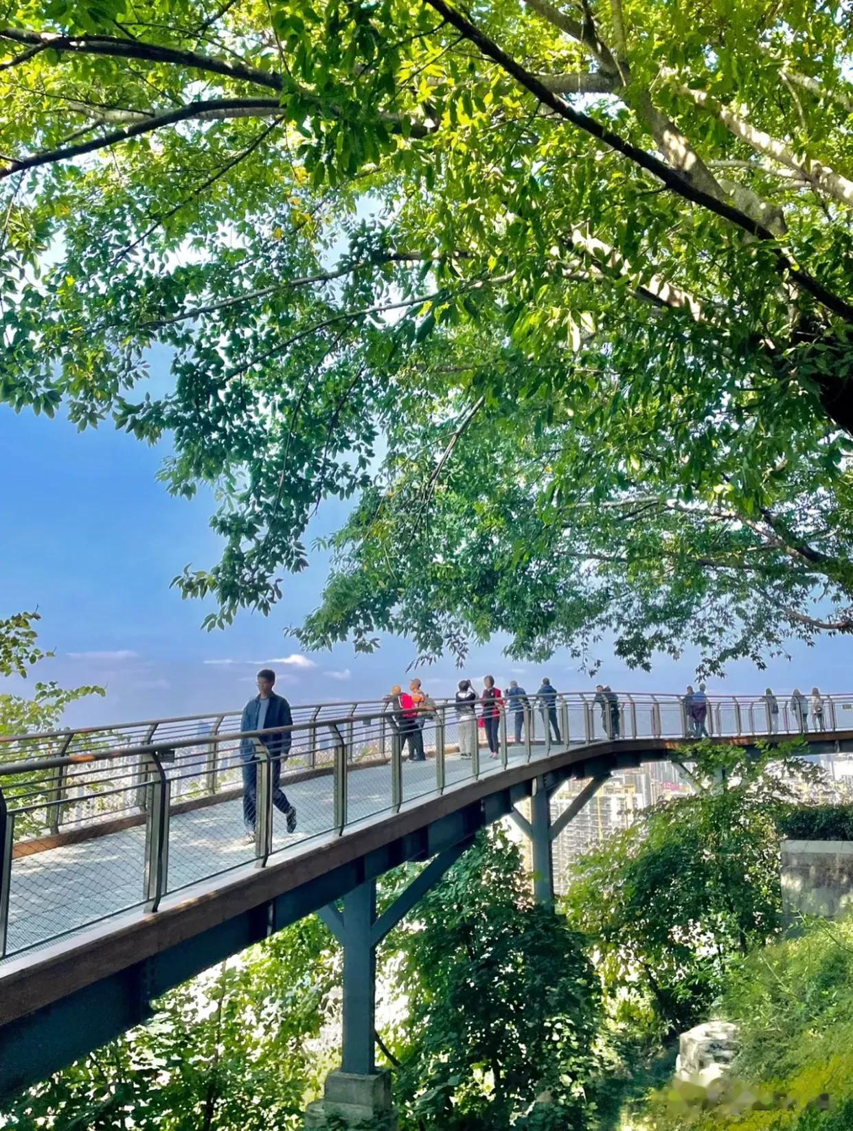 重庆半山崖线——城市里浪漫的悬崖步道
出太阳的春天真的很适合吸吸氧爬爬山！
这条