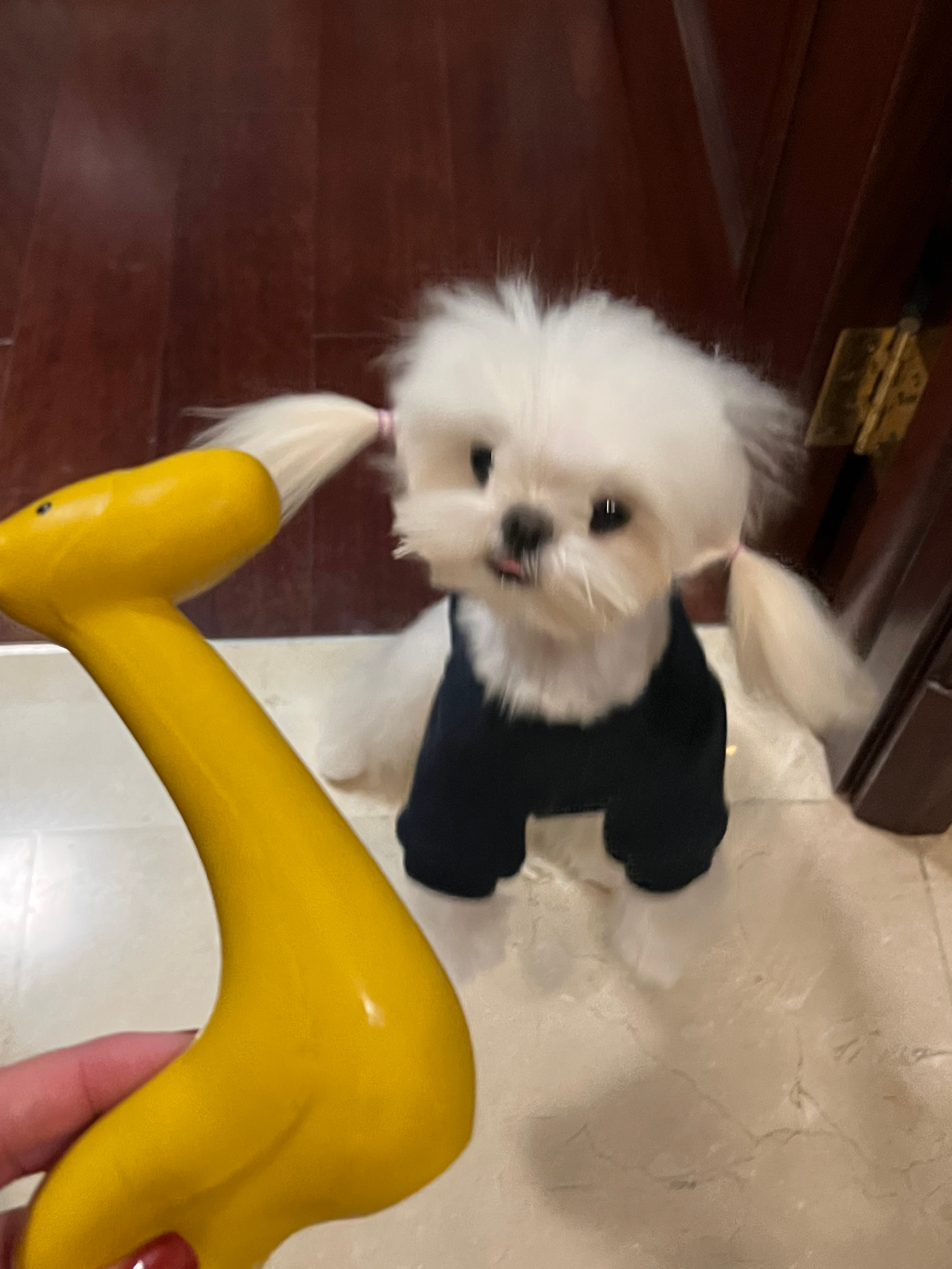 <p>新年快乐宝子们 所有姐妹