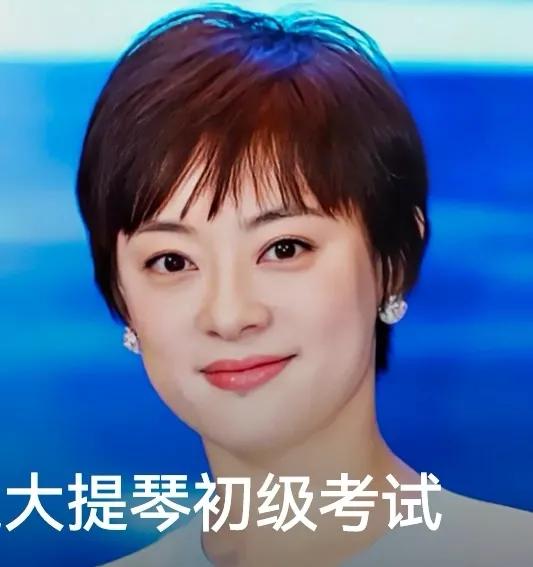   一个事业那么成功的女强人，还在学习的路上练习大提琴，我们普通人情何以堪， 学