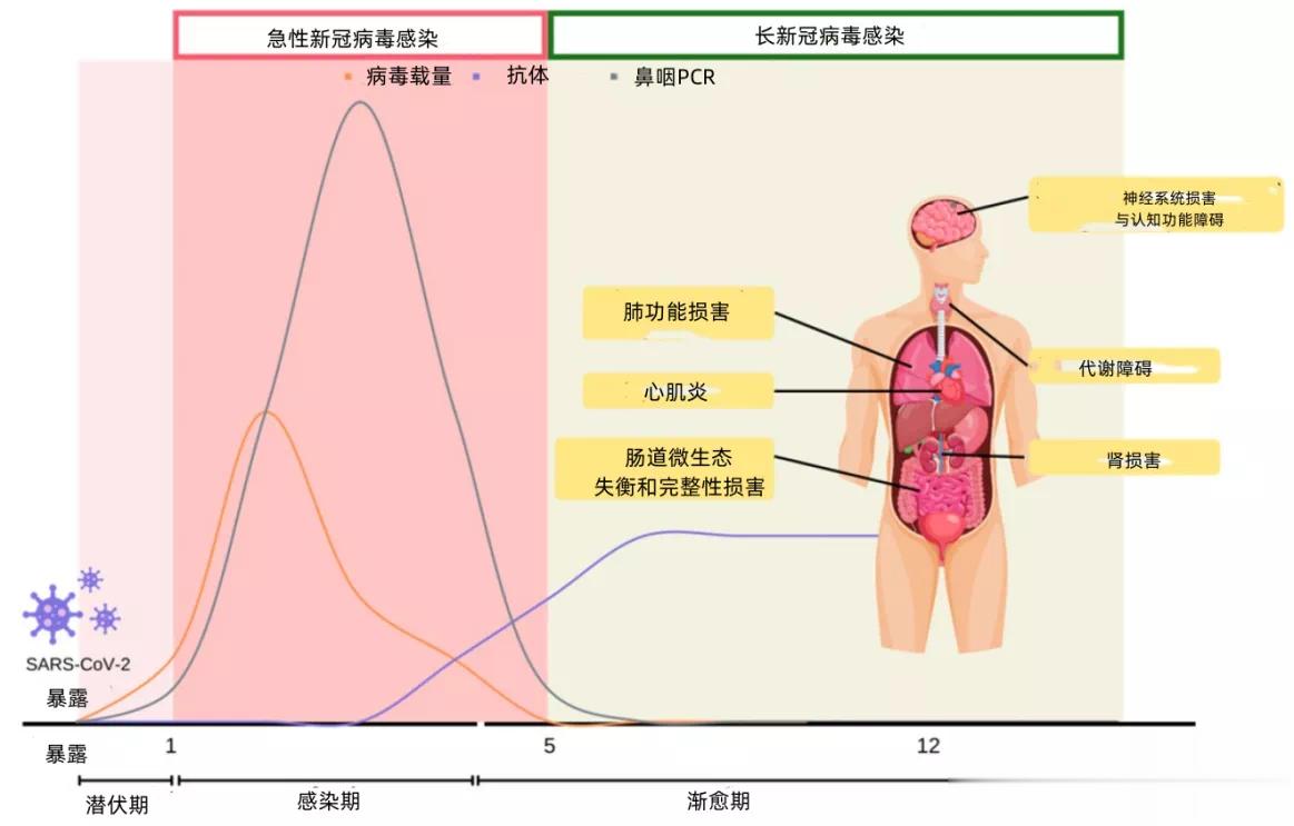 【#感染新冠病毒多久才能彻底康