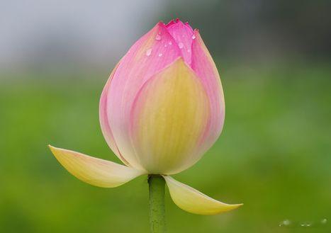 走好运的三个心理技巧：走出舒适区：在能力范围内，完成舒适区以外的一点“积极主动”