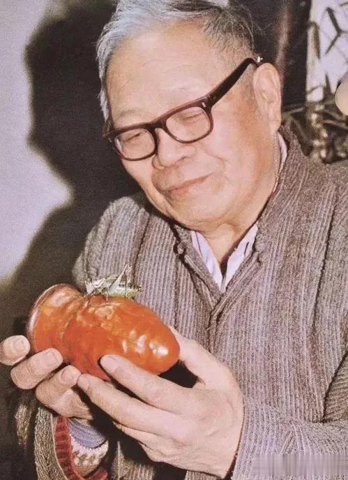 收藏界现在大家比较熟知的有马未都，还有“隐士”李成儒，其实他们还有一位前辈，近现