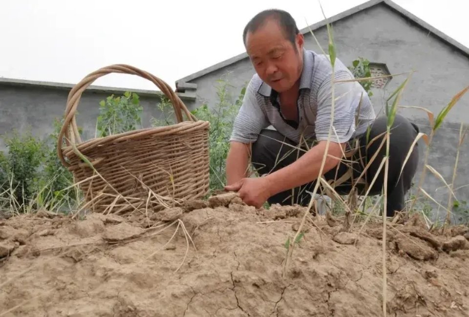 网友：同村大叔，今年56岁了，老婆死了，一儿一女都结婚了。大叔没事就爱去我家串门