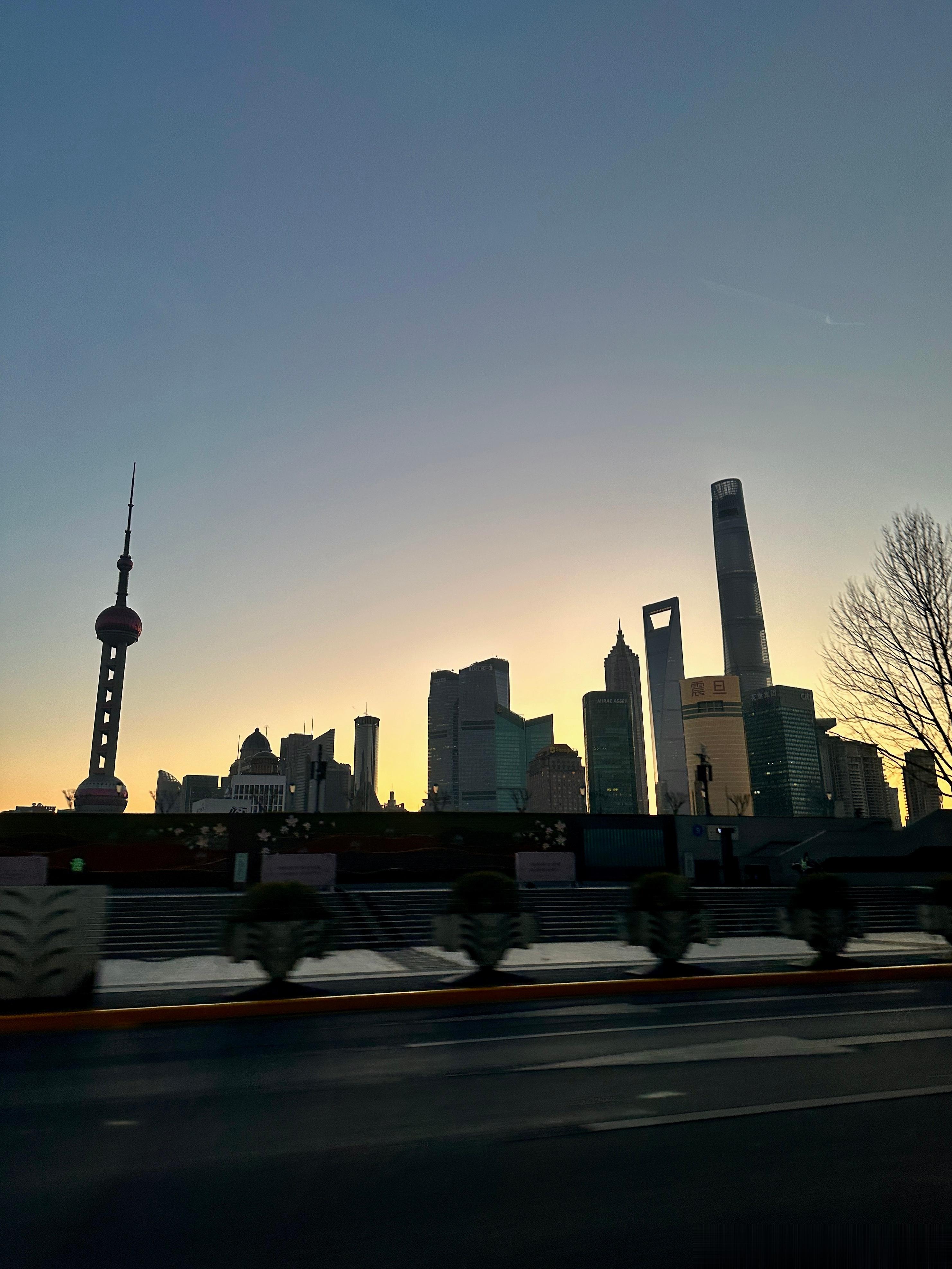 早啊小博友们！早起的虫儿有鸟吃！ ​​​