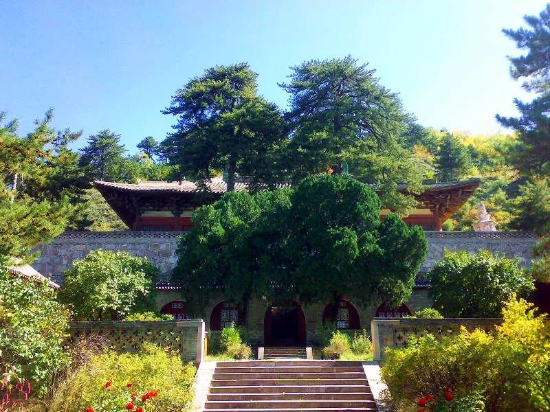 【中国第一国宝的由来】日本一位学者曾断言，要看中国唐建筑，那得到日本。中国已经没