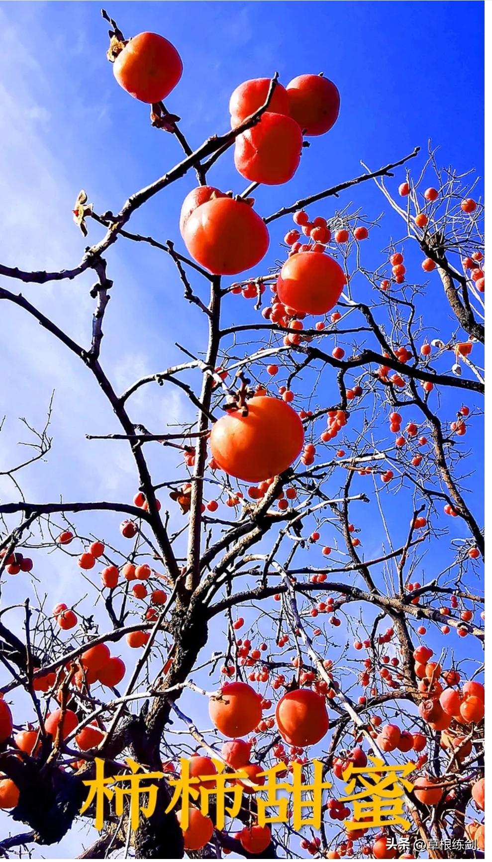 大写中国数字最早是由谁发明的  ?
中国千百年使用的‘中国数字’，它有大写和小写