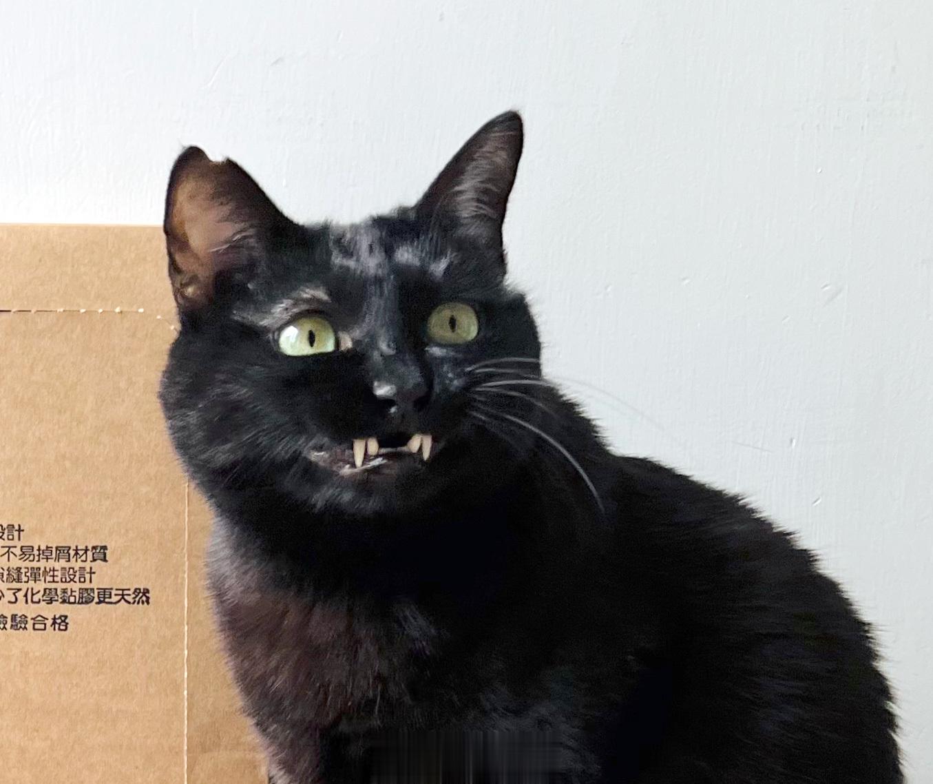 求蝦蝦的OS： ​​​