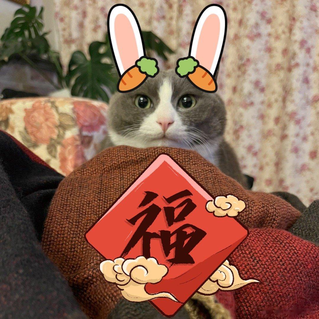 兔兔送福了 ​​​