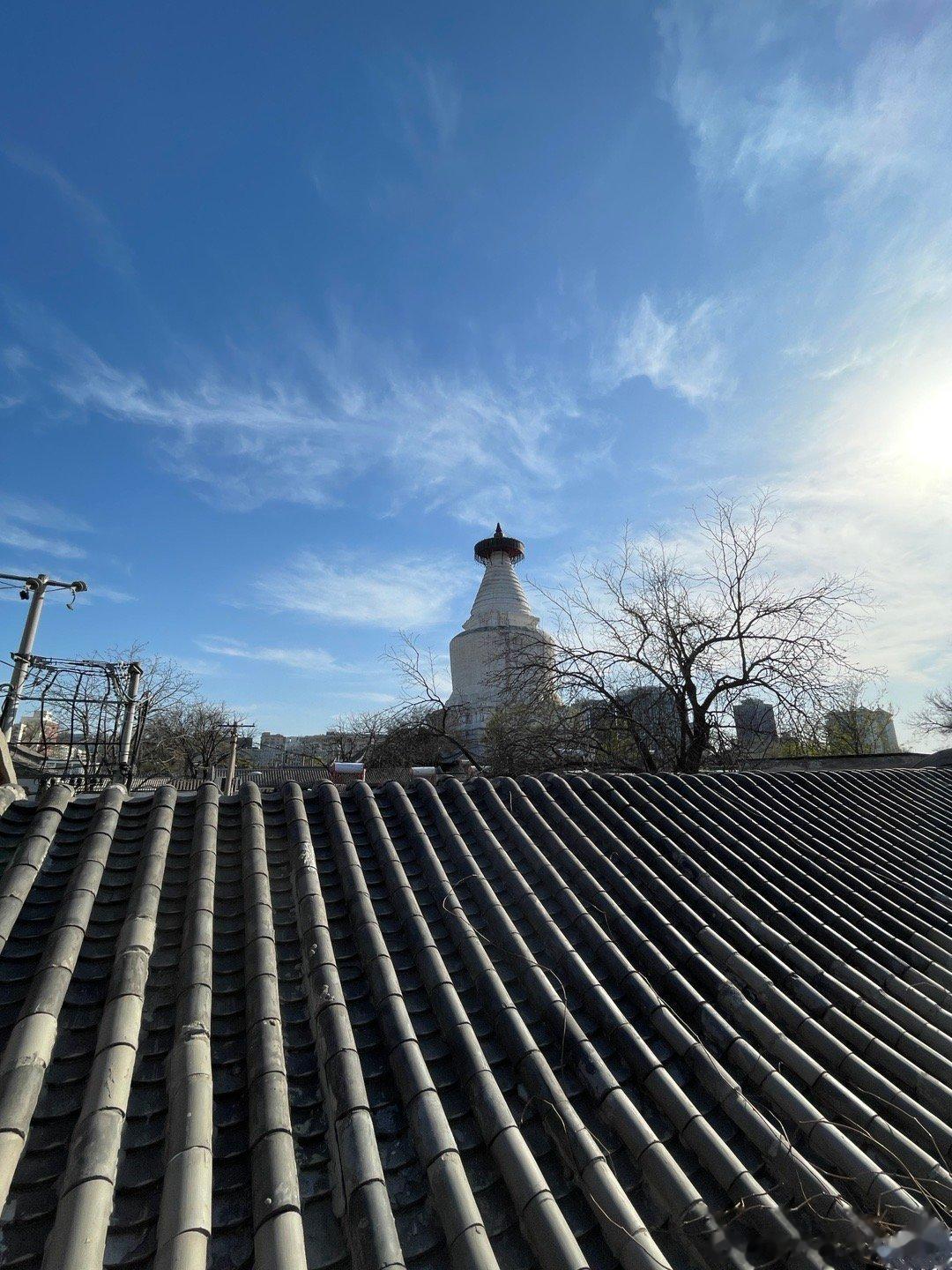如果你遇到这样一个人，一定好好珍惜彼此之间可以疯狂输出废话的友谊并不奢求对方能帮
