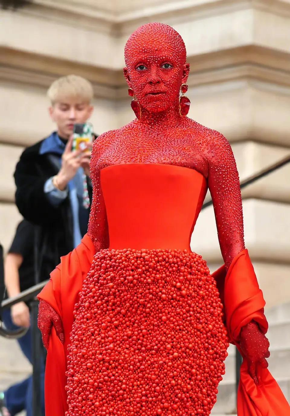 豆荚猫穿3万多颗施洛华世奇水晶