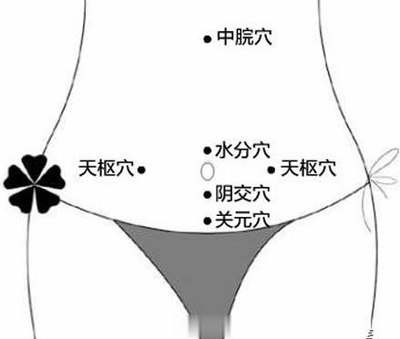 【胃经要穴：天枢穴】在肚脐两侧各旁开2寸（如图）。是人体小天地的枢纽，可促进胸腹