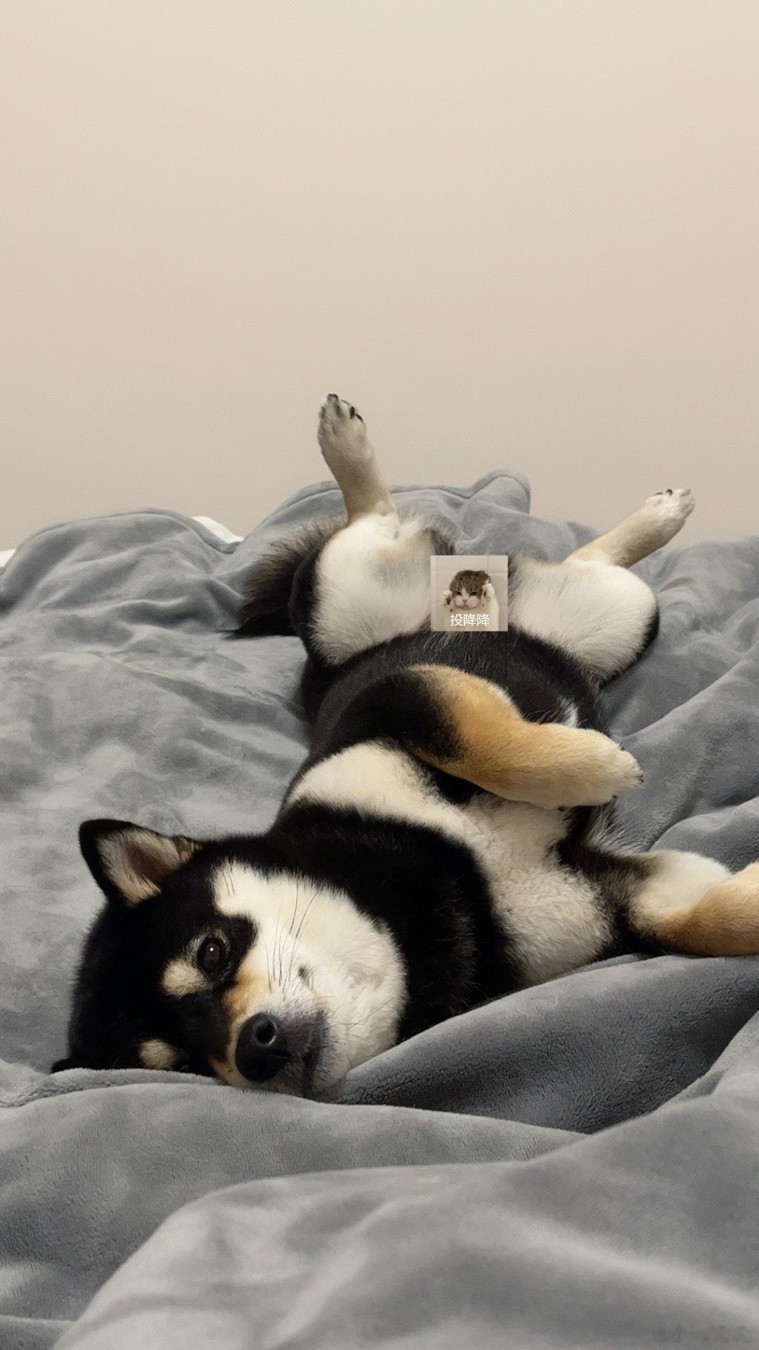 什么睡姿啊！ ​​​
