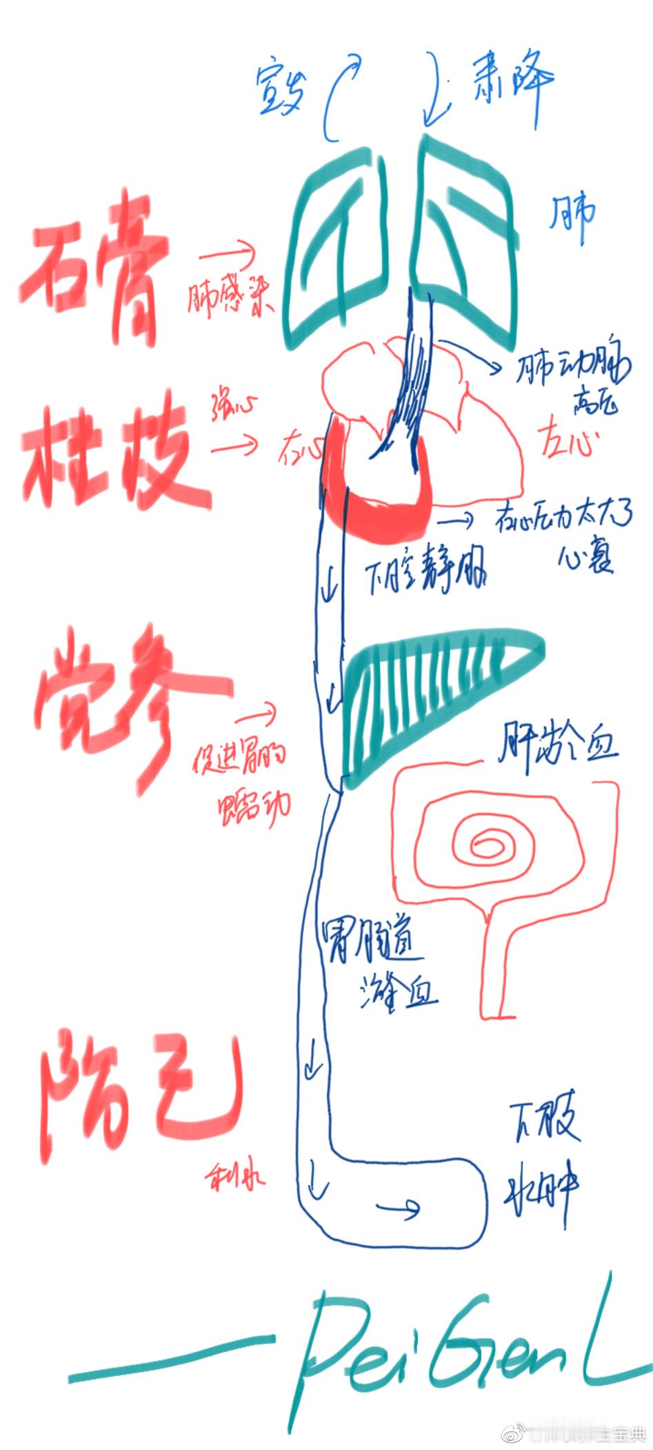 肺心病右心衰方——《金匮》木防己汤[good]国家中医药管理局于1997年制定的