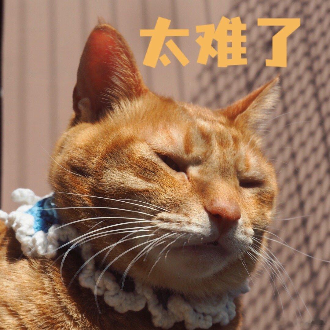 不知道为什么，每次体检测血压我就会心跳加速，都要复测一次 ​​​