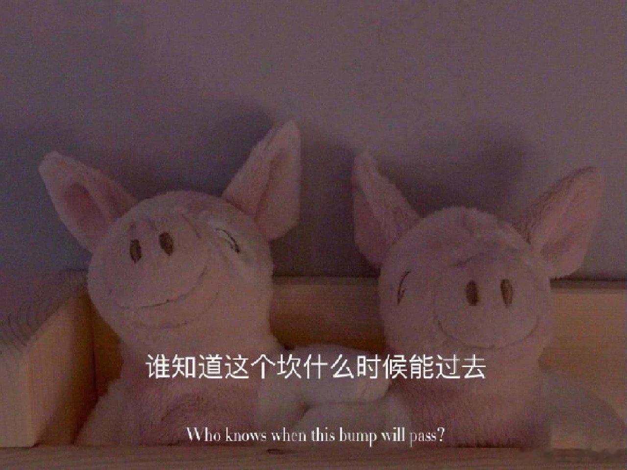 “好听的话别当真，难听的话别走心。  任何安慰都没有自己看得透来的奏效” ​​​
