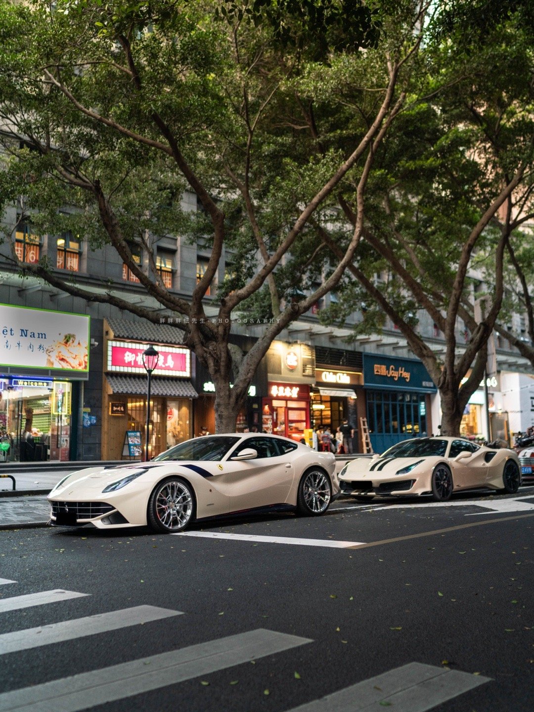 树荫下的奶油味大跑车Ferrari F12 Berlinetta & 488 P