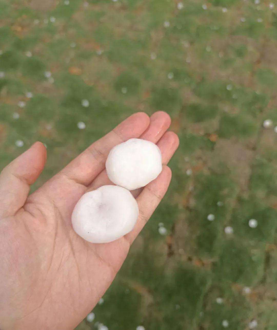 南方的朋友回避一下，我给北方的朋友介绍一下我们南方下的冰雹，鸡蛋一样大，脑壳长包
